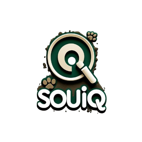 Souiq